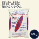  ȪΥ륷 10 ʴ 륷    ͭȯ ¥  ͽ 奢륫