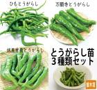 ��ͽ���������� ��� �� 3�� ���å� �Ȥ����餷��3������1�ݥåȤ��� 9����ݥå� ����� ������Ĺ �Ҥ�Ȥ����餷 ����̵����4���Ⱦ���缡ȯ����