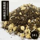  ɺ  14  ɺ ɺ    ǥ˥ ؤ 