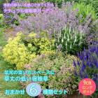 ��11����ܤ��缡ȯ���۽ɺ��� �� ���å� 9������󥰥ݥå� �����㤤 6�ʼ� ���פ餤 �������ȥ��å� ��� �����ǥ˥� ����̵��
