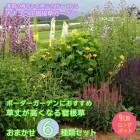 ͽ۽ɺ  å 9󥰥ݥå 椬⤤  6ʼ פ餤  ܡǥ  ̵ڣ沼ܤ缡ȯ