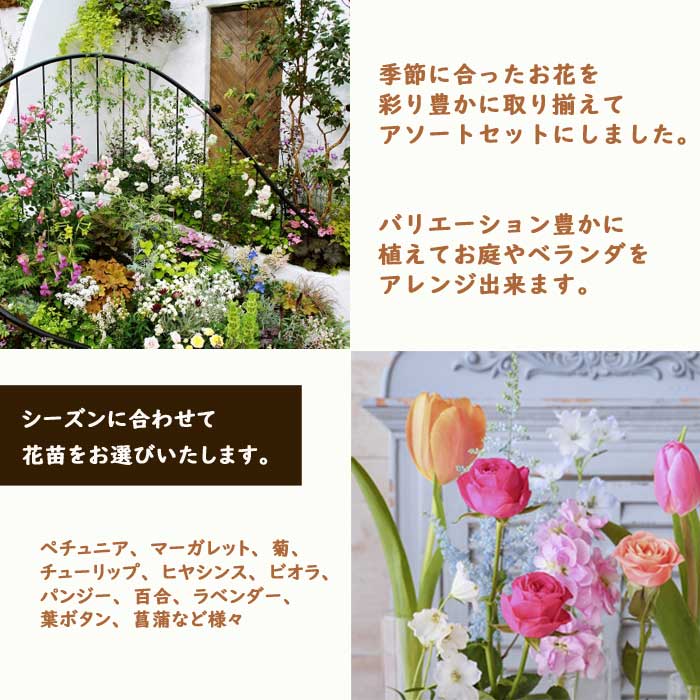 花 苗 セット 季節の花苗 見計らい アソートセット 7ポット 花苗 園芸
