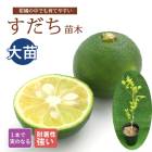 ������ ���� 24����ݥå� ���� ���� ���� ������ ���ȷ���� �ݵ� ������ ����̵��