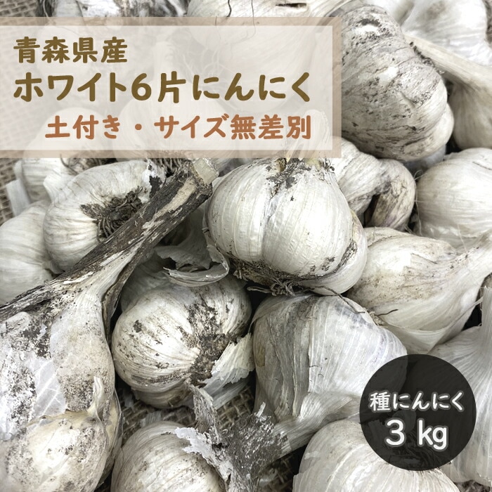 �ڣ�����ܤ��ȯ�������ۡ� ���դ� �� �庬 �ˤ�ˤ� �Ŀ� ʡ�� �ۥ磻��6�� ��3��� ���ڤȺ��դ� ������̵���� �ӡ��̥������ڤӥ����Ҵޤ�