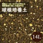 庬  14     ֥ ۹  庬 ñ ǥ˥  ݿ ӿ ؤ   庬