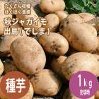ͽ  㤬 ǥ  1碨磻ΥS3L  㥬    ֤ 8ܤ缡ȯ