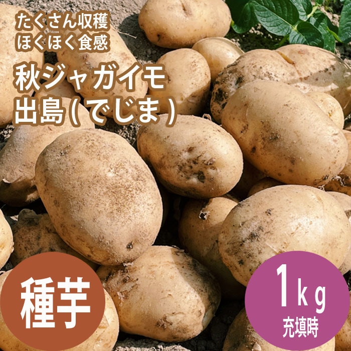 種 じゃがいも デジマ 出島 約1kg ※大小ミックス※ 秋じゃが 秋