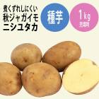 �ڣ�����ܤ��ȯ�������� �� ���㤬���� �ˤ��椿�� �˥��楿�� ��1kg ���羮�ߥå����� �����㤬 ������ ����� ��� �����ڱ� �֤�����