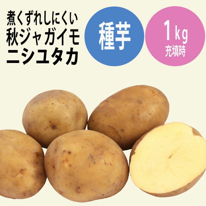 幻の　じゃがいも　ジャガイモ　06 ④ 1.3kg 幻のジャガイモ タワラ 11種類 春じゃがいも 種芋