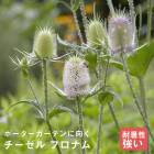 �ɺ��� �� �������� �ե��ʥ� 9������󥰥ݥå� ���ι⤤ ����ä��󤽤� ¿ǯ�� �ڥ�˥���