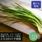 20���櫓�� �� �庬 �辰�� 150�� ������ ʬǬ �櫓�� ��� �����ڱ� �ץ�󥿡� ���ԡ������ �����ᤤ �֤�����