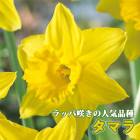 ���� �庬 ���ޥ� 2�� ��åѺ餭 �������� ������ �ץ�󥿡����� �󤻿��� �֤�����