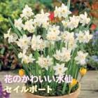 �֤Τ��襤�� �ߥ� ���� �庬 �� ������ܡ��� ��3�� �������� �󤻿��� ����ƥ� ȭ���� ���� ������ �֤�����