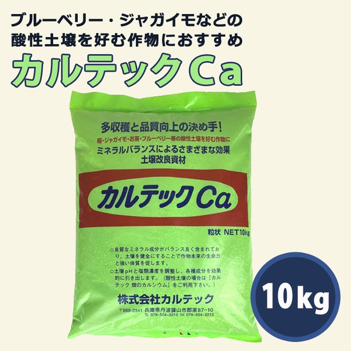 ��ݻ�� ����ƥå�Ca 10��� γ�� �������륷���� �ھ����ɻ�� ��� �̼� �֥롼�٥꡼ ���㥬���� �������� ͽ�ɤ�