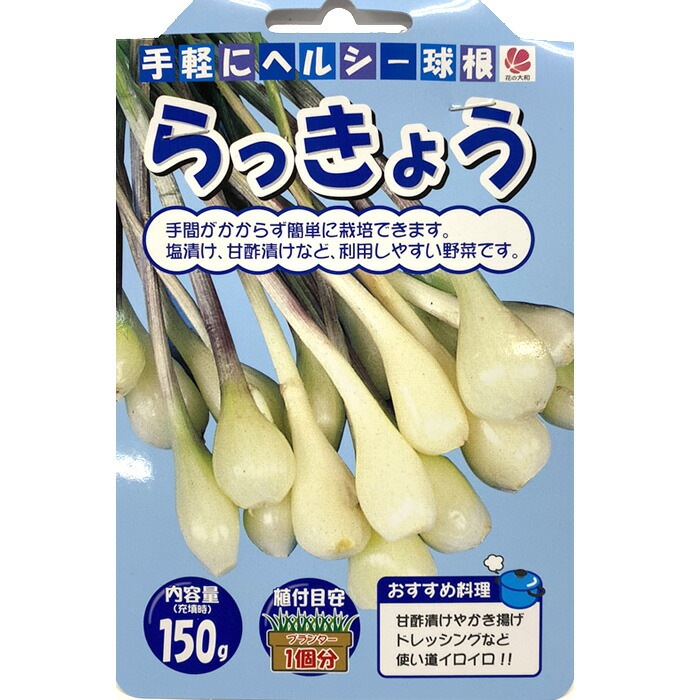 らっきょう 種 球根 150g ヘルシー 野菜 家庭菜園 プランター 栽培