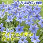 ե  庬 10 äѤʤ  󤻿 ץ󥿡  ǯ֤餯 ֤