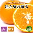 �ߤ��� ���� ��Ƿ˾ 15����ݥå� ���� ������ ���ȷ���� ���� �����ǥ˥� �鿴�Ը�������Ͽ�ʼ�� ����̵��