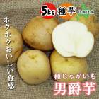 �� ���㤬���� �˼߰� ���󥷥㥯���� 5��� �̳�ƻ�� �򥵥�����S��2L �� ����� ��� �տ��� �դ��㤬 �֤�����