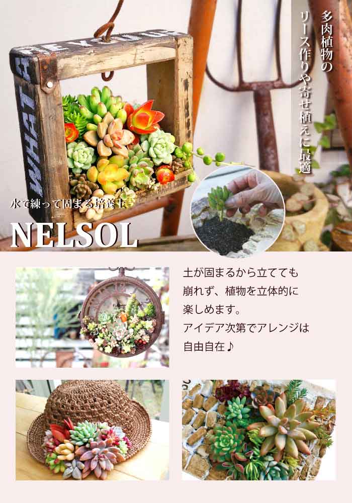 水で練って固まる 土 NELSOL 多肉植物の土 5L ネルソル 培養土 寄せ