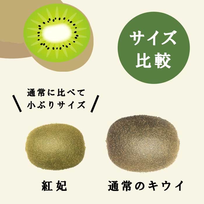 紅いキウイ 2種セット(紅妃と早雄) 15cmポット 苗 レインボーレッド