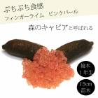 �ե��󥬡��饤�� ����  �ԥ󥯥ѡ��� 15���ȭ ���� ������ ���ȷ���� ���� ����ӥ��饤�� �ե��󥬡��饤�ॸ��ѥ� 1ǯ���� ����̵��