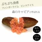 �ե��󥬡��饤�� ����  �ԥ󥯥����� 15���ȭ ���� ������ ���ȷ���� ���� ����ӥ��饤�� �ե��󥬡��饤�ॸ��ѥ� 1ǯ���� ����̵��