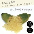 �ե��󥬡��饤�� ����  ���꡼�󥯥ꥹ���� 15���ȭ ���� ������ ���ȷ���� ���� ����ӥ��饤�� �ե��󥬡��饤�ॸ��ѥ� 1ǯ���� ����̵��