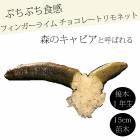 �ե��󥬡��饤�� ����  ���祳�졼�ȥ��ͥå� 15���ȭ ���� ������ ���ȷ���� ���� ����ӥ��饤�� �ե��󥬡��饤�ॸ��ѥ� 1ǯ���� ����̵��