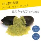 �ե��󥬡��饤�� ����  ����å� 21���ȭ ���� ������ ���ȷ���� ���� ����ӥ��饤�� �ե��󥬡��饤�ॸ��ѥ� 2ǯ���� ����̵��