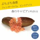 �ե��󥬡��饤�� ����  �ԥ󥯥����� 21���ȭ ���� ������ ���ȷ���� ���� ����ӥ��饤�� �ե��󥬡��饤�ॸ��ѥ� 2ǯ���� ����̵��