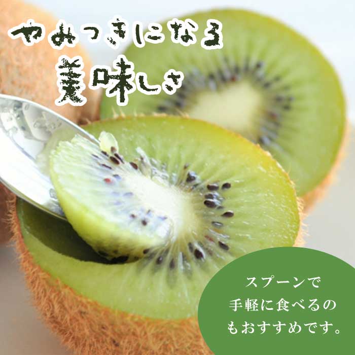 キウイ 苗 ジェミニ 15cmポット 1本で実のなる キーウィ 自家結実性