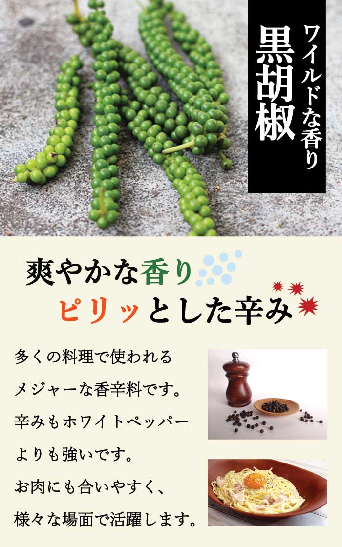 黒胡椒 くろこしょう ブラックペッパー 胡椒 9cmポット 自根 苗