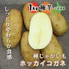 ��ͽ������ �� ���㤬���� �ۥå��������� �̳������� 1��� �̳�ƻ�� �򥵥�����S��2L �� ����� ��� �տ��� �դ��㤬 �֤����� ��1����ܤ��缡ȯ����