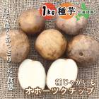 �� ���㤬���� ���ۡ��ĥ����å� 1��� �̳�ƻ�� �򥵥�����S��2L �� ����� ��� �����ڱ� ��Ͽ�ʼ� �տ��� �դ��㤬 �֤�����