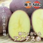 ��ͽ������ �� ���㤬���� ����ǥ��� ����ǥ���å� 500�� �򥵥�����S��2L �� ����� ��� �տ��� �դ��㤬 �֤����� ��1����ܤ��缡ȯ����