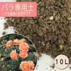 �� �Х� �� �� �Х���� �Х������� 10�� ���� ��� �����ǥ˥� �����ؤ� �������� �ӿ��� �ݿ���