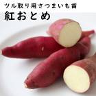 ��ͽ��������� �� �ĥ����� ���Ĥޤ��� �ݥå��� �Ȥ��Ȥ� �٤ˤ��Ȥ� 9����ݥå��� ���ĥޥ��� �����ڱ� �����ǥ˥󥰡ڣ����Ⱦ���缡ȯ����