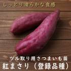 ��ͽ��������� �� �ĥ����� ���Ĥޤ��� �ݥå��� �٤ˤޤ������Ͽ�ʼ�� �٥˥ޥ��� 9����ݥå��� ���ĥޥ��� �����ڱ�ڣ����Ⱦ���缡ȯ����