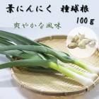 ��ͽ�����ۡ� �դˤ�ˤ� �� ��庬 100��� �տ��� �� �˥�˥� ���� �ˤ�ˤ� ��� ������å� garlic �����ڱ� �֤����� ��3���ܤ��缡ȯ����