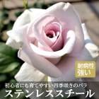 �Х� �� ���ƥ�쥹�������� ��Ƥ䤹�� �ӥ��ʡ��� �͵��餭 12����ݥå� 2ǯ������ ���� ���� �����ǥ� �� ������