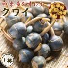 ���磻 1�� ��庬 ��� ���襤 ���� ���� ��� ������ �ﵯʪ ������ ¿ǯ�� �֤�����