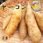 �䡼���� 2�� ��� ��庬 �����ڱ� ���� ��� ¿ǯ�� ���㤭���㤭 �֤�����