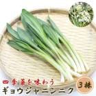 ���祦����ˤ�ˤ� 3�� ��� ��庬 �����ڱ� �Լԥ˥�˥� �ˤ�ˤ� ���� �֤�����