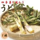 ���� 1�� ��� ��庬 �����ڱ� ���� ������ ���� ��� ¿ǯ�� �֤�����