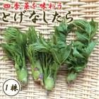 �Ȥ��ʤ����� 1�� ��� ��庬 �����ڱ� ����β� ������� ���� ���ڤβ��� ŷ�פ� �֤�����