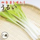 ���뤤 1�� ��� ��庬 �����ڱ� ���� ��� ������Ԥ礦 ����� ���쥤 �֤�����