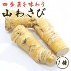 ���蘆�� 1�� ��� ��庬 �����ڱ� �ۡ�����ǥ��å��� �蘆�� ���� ��� ���� �֤�����