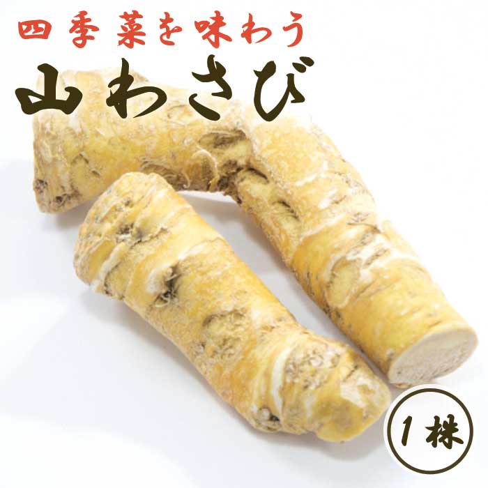 山わさび。 ka09802_rakun.jpg