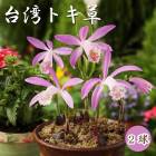 �� ���� �ȥ���  �� �庬 2�� ������ ���å������ǥ� ���� �ȥ��� ��� �ȥ����� ����� ������� �߿��� �֤�����