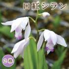 �� ���� ����� �� �庬 2�� ���� ���� ����� �� ������ ¿ǯ�� �������ɥ����ǥ� �߿��� �֤�����